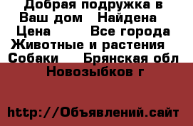 Добрая подружка,в Ваш дом!!!Найдена › Цена ­ 10 - Все города Животные и растения » Собаки   . Брянская обл.,Новозыбков г.